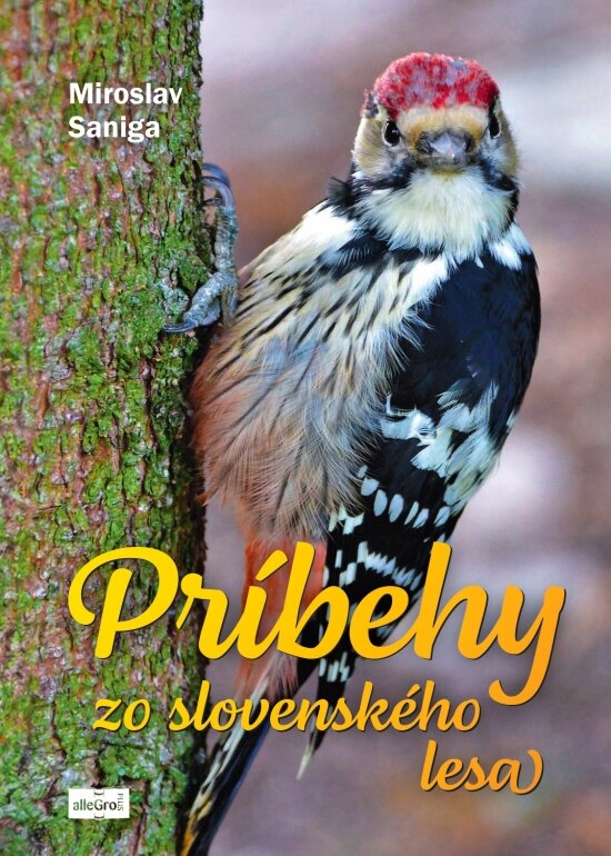 Obálka knihy Príbehy zo slovenského lesa