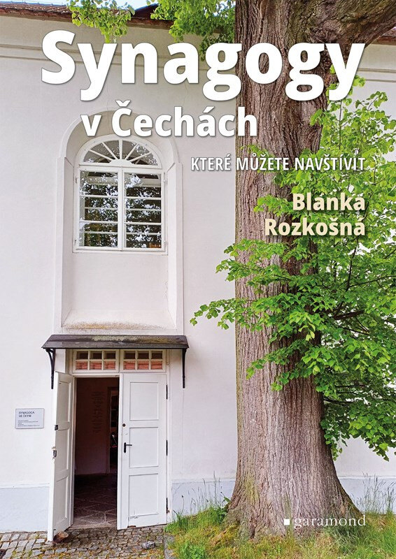 Obálka knihy Synagogy v Čechách
