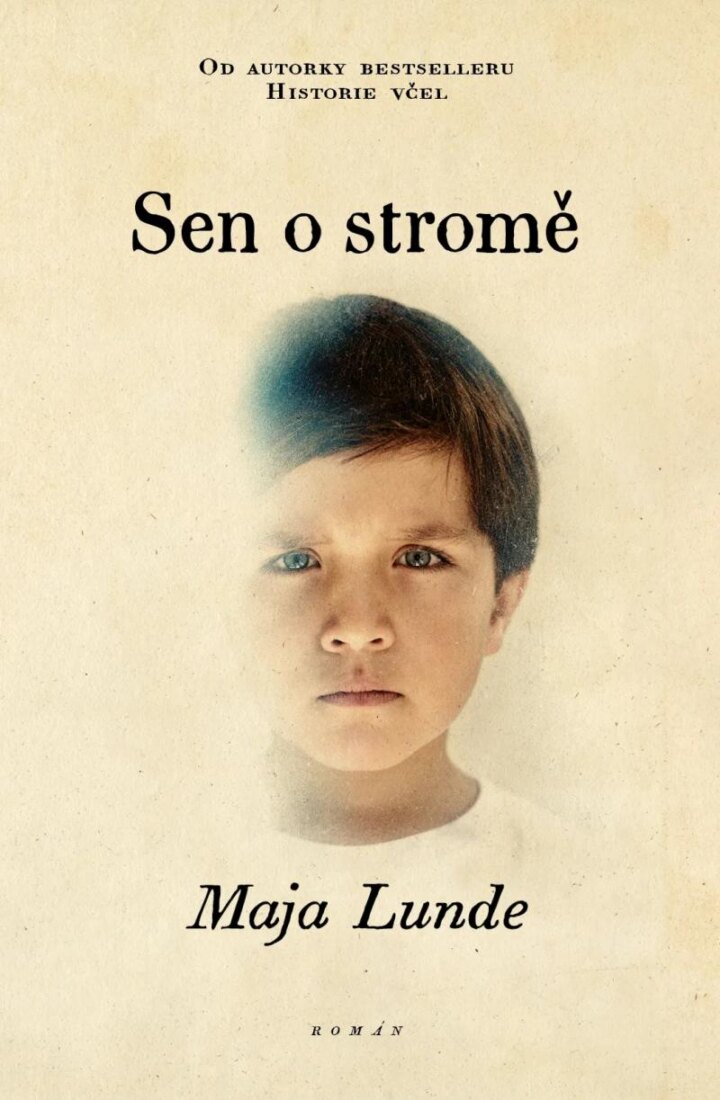 Obálka knihy Sen o stromě