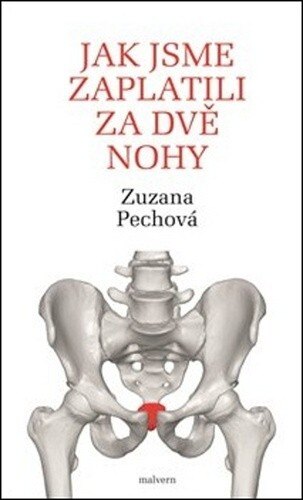 Obálka knihy Jak jsme zaplatili za dvě nohy