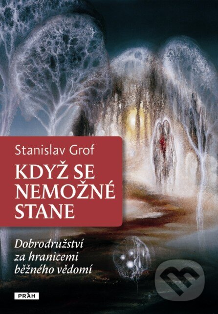 Obálka knihy Když se nemožné stane