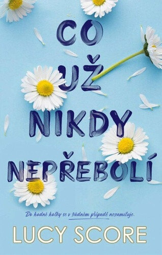 Obálka knihy Co už nikdy nepřebolí