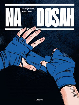 Obálka knihy Na dosah