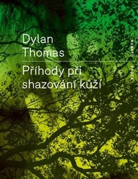Obálka knihy Příhody při shazování kůží