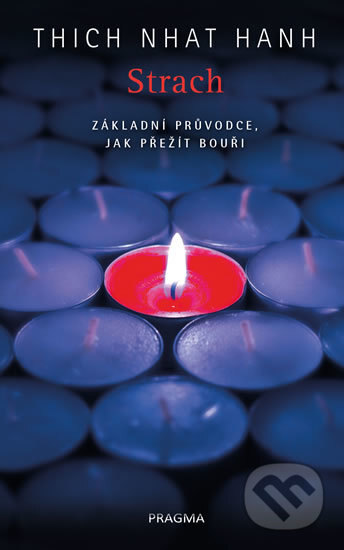 Obálka knihy Strach. Základní průvodce, jak přežít bouři
