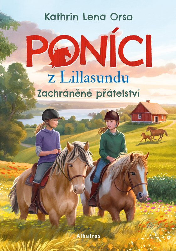 Obálka knihy Poníci z Lillasundu - Zachráněné přátelství