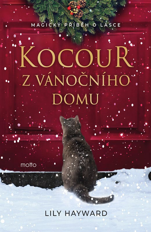 Obálka knihy Kocour z vánočního domu