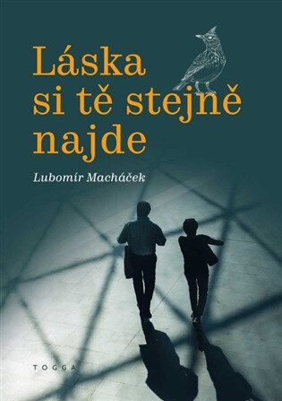Obálka knihy Láska si tě stejně najde