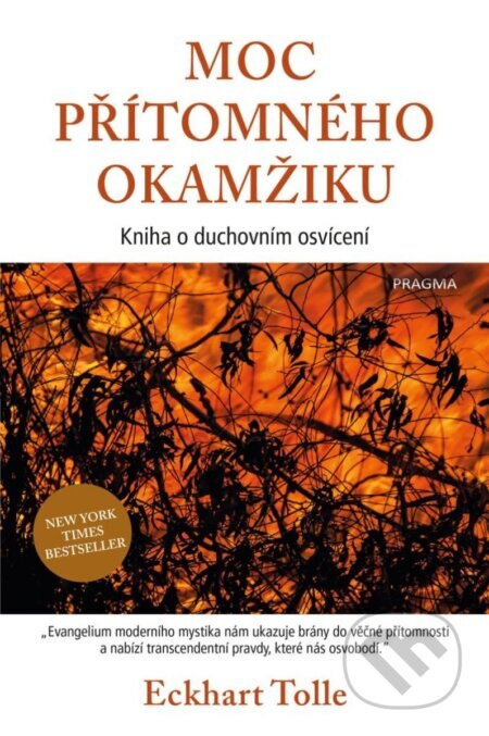 Obálka knihy Moc přítomného okamžiku