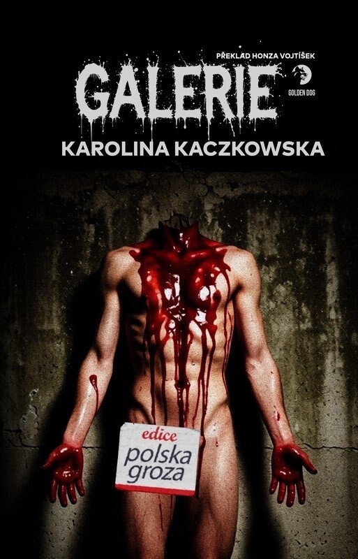 Obálka knihy Galerie