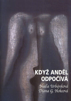 Obálka knihy Když anděl odpočívá