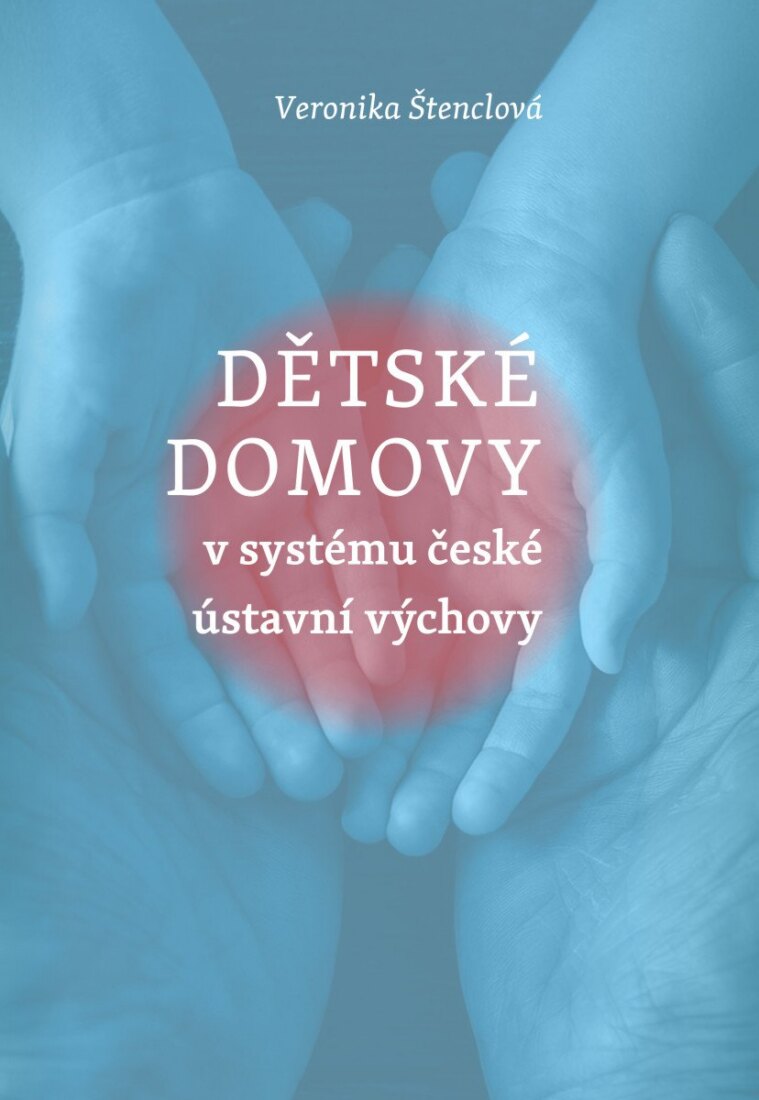 Obálka knihy Dětské domovy v systému české ústavní výchovy