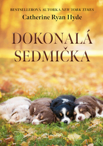 Obálka knihy Dokonalá sedmička