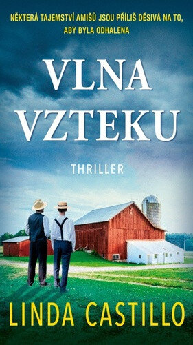 Obálka knihy Vlna vzteku