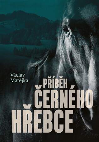 Obálka knihy Příběh černého hřebce