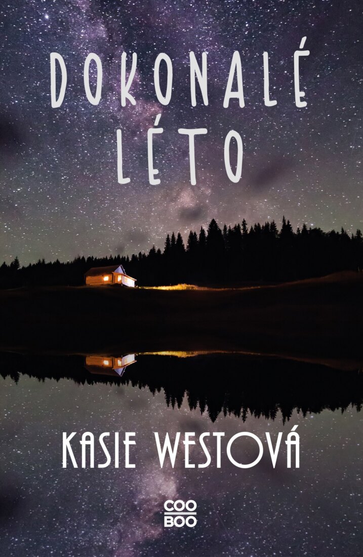Obálka knihy Dokonalé léto