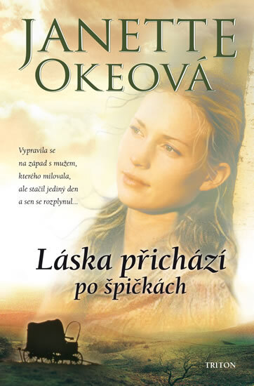 Obálka knihy Láska přichází po špičkách
