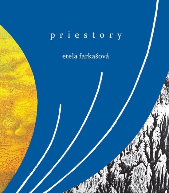 Obálka knihy Priestory