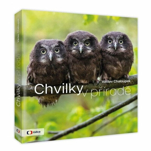 Obálka knihy Chvilky v přírodě