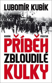 Obálka knihy Příběh zbloudilé kulky