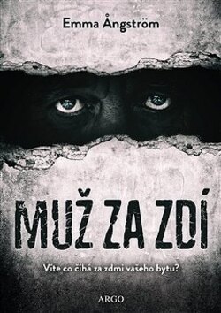 Obálka knihy Muž za zdí