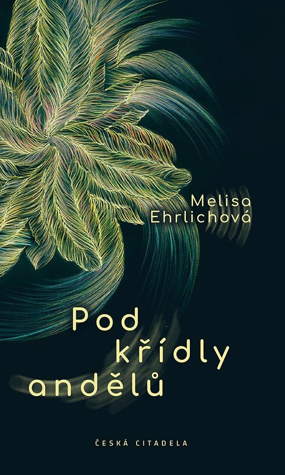 Obálka knihy Pod křídly andělů