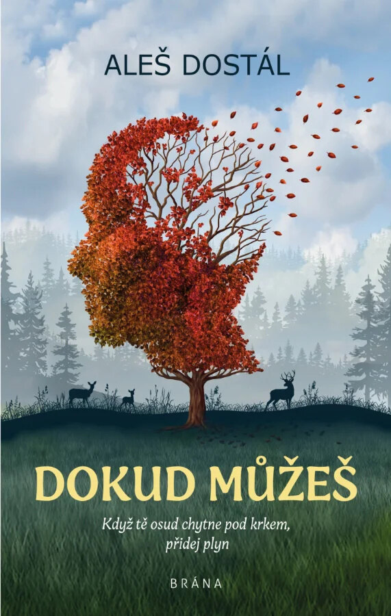 Obálka knihy Dokud můžeš