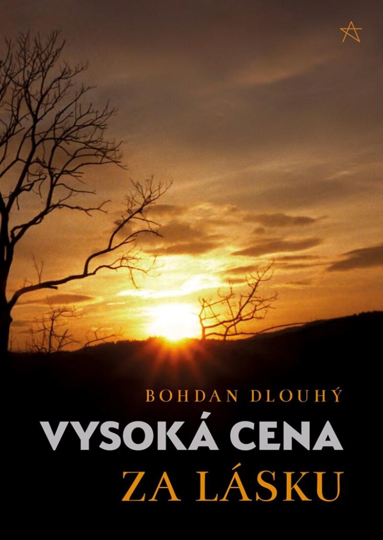 Obálka knihy Vysoká cena za lásku