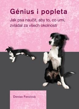 Obálka knihy Génius i popleta