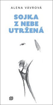 Obálka knihy Sojka z nebe utržená
