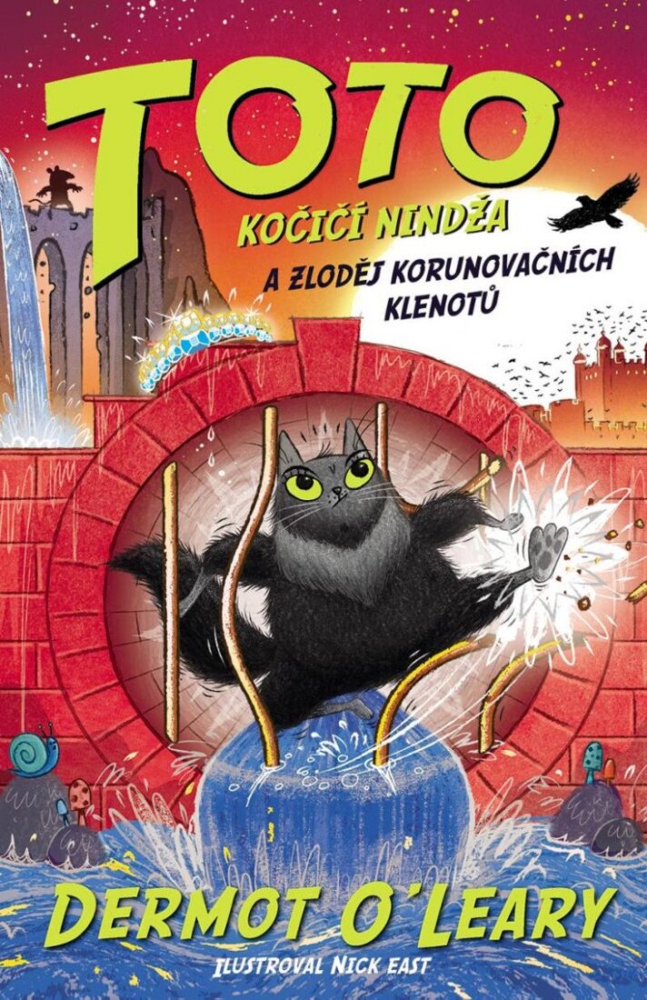 Obálka knihy Toto Kočičí nindža a zloděj klenotů