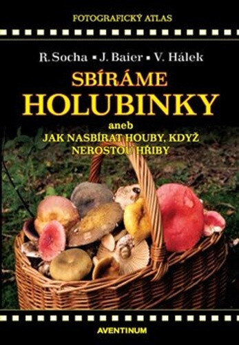 Obálka knihy Sbíráme holubinky