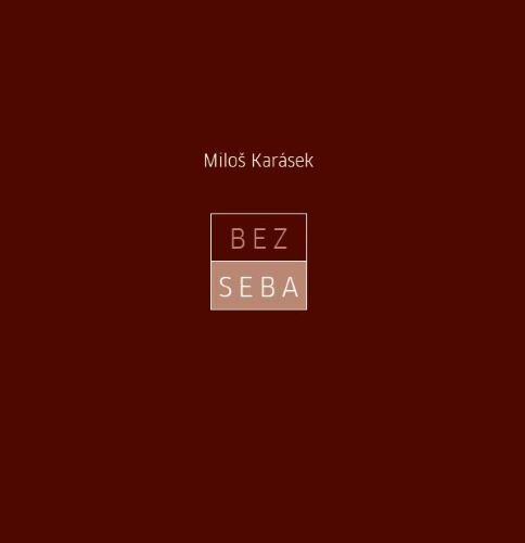 Obálka knihy Bez seba
