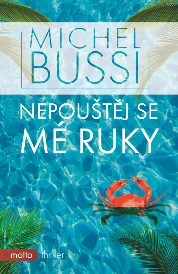 Obálka knihy Nepouštěj se mé ruky (1. akosť)