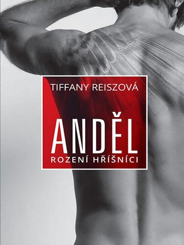 Obálka knihy Anděl