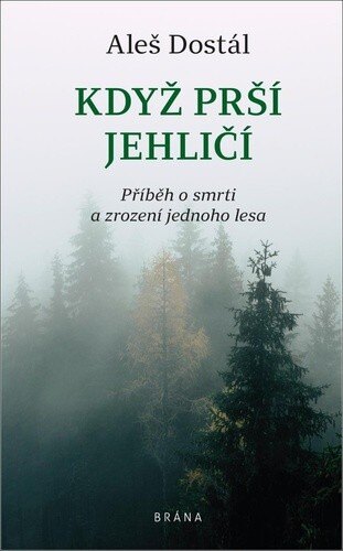 Obálka knihy Když prší jehličí