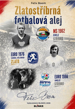 Obálka knihy Zlatostříbrná fotbalová alej