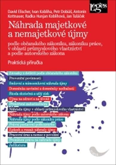 Obálka knihy Náhrada majetkové a nemajetkové újmy podle občanského zákoníku, zákoníku práce, v oblasti průmyslového vlastnictví a podle autorského zákona - Praktická příručka