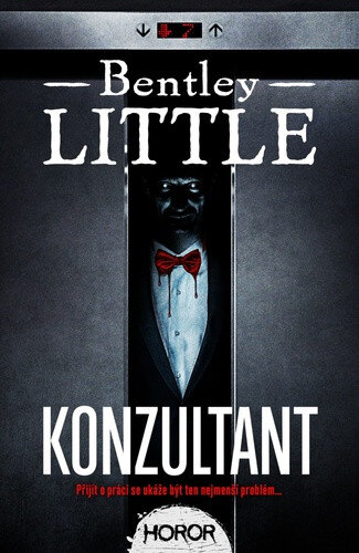 Obálka knihy Konzultant
