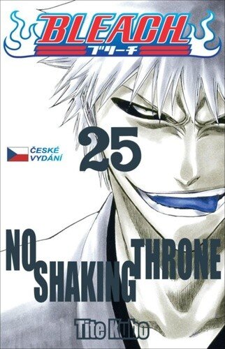 Obálka knihy Bleach 25