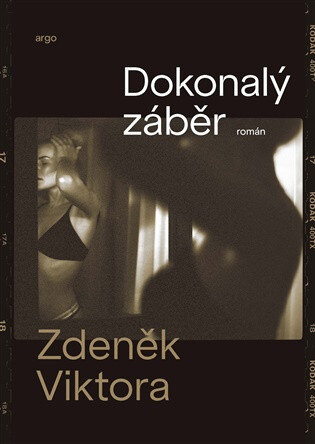 Obálka knihy Dokonalý záběr