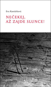 Obálka knihy Nečekej, až zajde slunce!