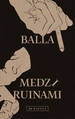 Obálka knihy Medzi ruinami