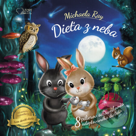 Obálka knihy Dieťa z neba