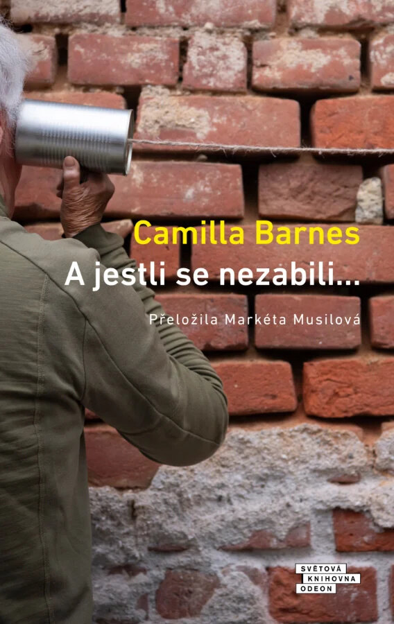Obálka knihy A jestli se nezabili…