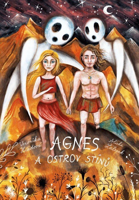 Obálka knihy Agnes a ostrov Stínů