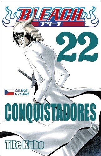 Obálka knihy Bleach 22