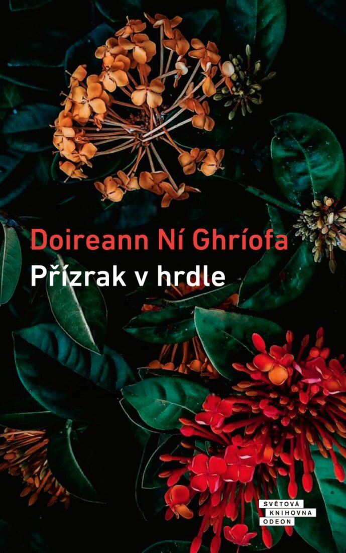 Obálka knihy Přízrak v hrdle