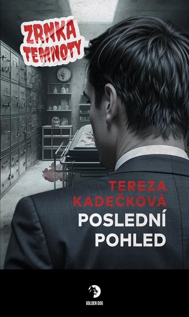 Obálka knihy Poslední pohled - Zrnka temnoty 22