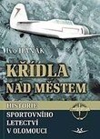 Obálka knihy Křídla nad městem
